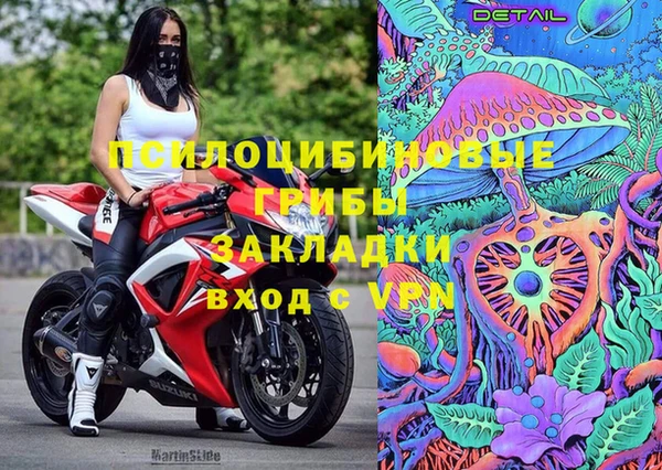 амф Алексеевка