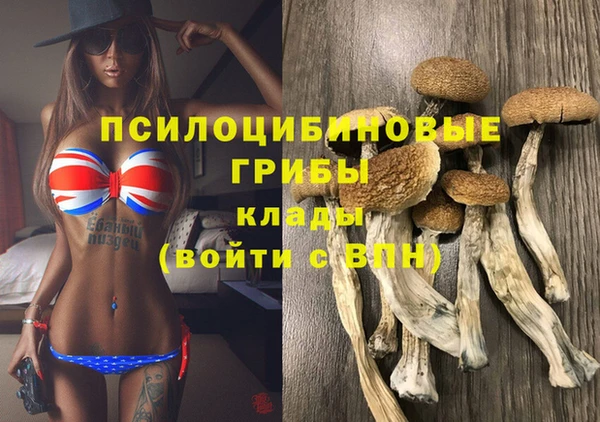 амф Алексеевка