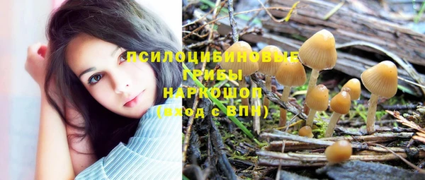 амф Алексеевка