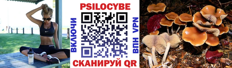 дарнет шоп  Новоульяновск  Галлюциногенные грибы прущие грибы 